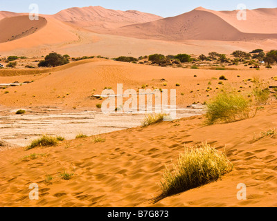 Deserto del Namib Foto Stock