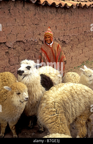 1, uno, Quechua ragazzo indiano, Indiani Quechua, ragazzo con alpaca, boy, alpaca, Cuzco, Provincia di Cuzco, Perù, Sud America Foto Stock