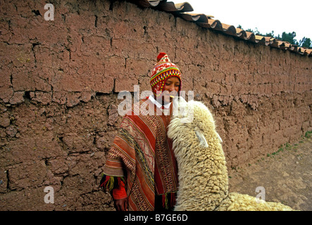 1, uno, Quechua ragazzo indiano, Indiani Quechua, ragazzo con alpaca, boy, alpaca, Cuzco, Provincia di Cuzco, Perù, Sud America Foto Stock