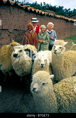 Di etnia quechua ragazzo con turisti americani anziano senior travel 3 tre donne adulte alpaca Provincia di Cuzco Perù Sud America Foto Stock