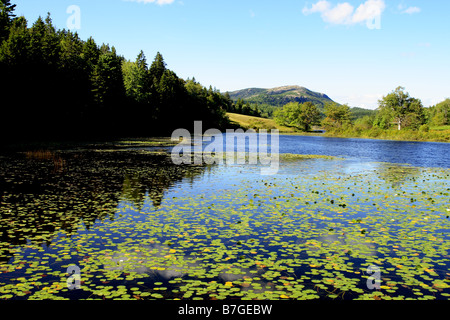 Pond sull'isola di Mount Desert Foto Stock