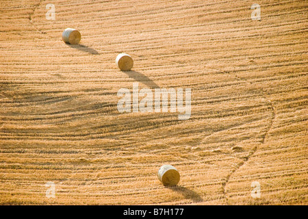 Bails del fieno su un altipiano soleggiato Campo nelle colline toscane di Italia Foto Stock