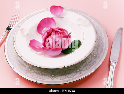 Petali di rosa e la piastra Foto Stock