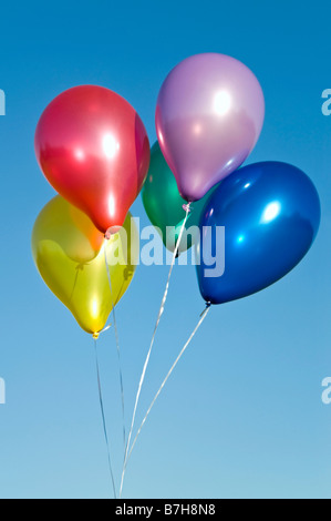 Verticale fino in prossimità di un mazzetto colorato e riempito di elio Palloncini di lattice contro un cielo blu Foto Stock