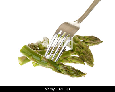 Heathy freschi cotti gara asparagi di lusso le verdure su una forcella isolata contro uno sfondo bianco con nessun popolo e un tracciato di ritaglio Foto Stock