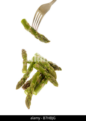 Heathy freschi cotti gara asparagi di lusso le verdure su una forcella isolata contro uno sfondo bianco con nessun popolo e un tracciato di ritaglio Foto Stock