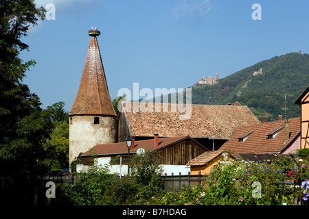 Stork s nido su una torre e nel bachground la rovina del castello st Ulrich Foto Stock