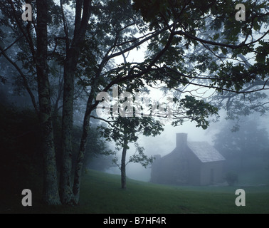 Cabina in nebbia Foto Stock