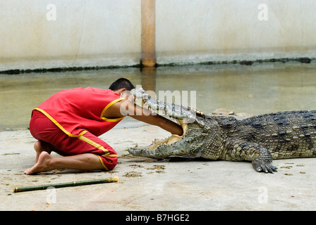 Samut Prakan Crocodile Farm, Chonburi. Bangkok Foto Stock