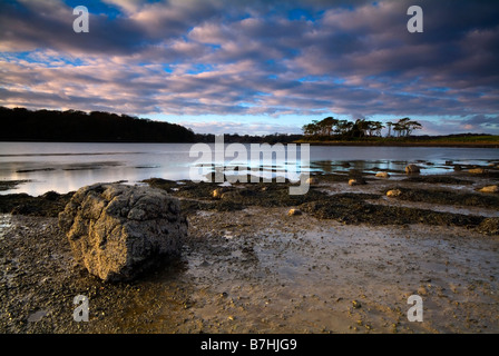 Paesaggio di Strangford estuario con alberi riflettendo sull'acqua al tramonto la contea di Down Irlanda del Nord Foto Stock