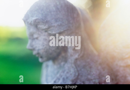 Impressionistica testa spalle e ali di pietra bambino angel retroilluminata con bassa luce della sera con le erbe e gli alberi al di là Foto Stock