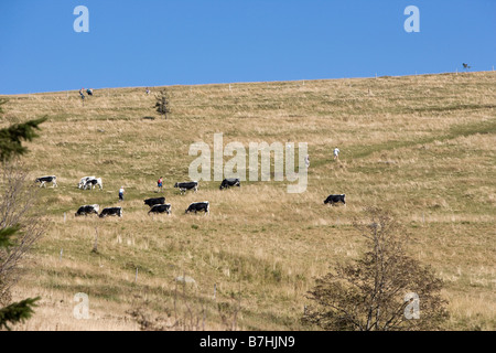 Il modo per la Hohneck è la terza più alta montagna del Vosges con 1363 m Foto Stock