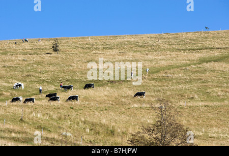 Il modo per la Hohneck è la terza più alta montagna del Vosges con 1363 m Foto Stock