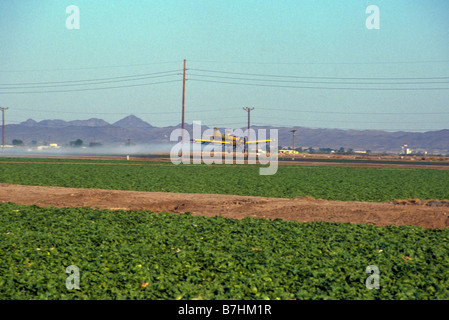 Aeromobili Cropduster spruzza liquido killer bug sul prodotto in California Foto Stock