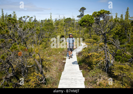 BRITISH COLUMBIA - escursionista sulla costa nord est Sentiero del Nisseno ansa in Cape Scott Parco Provinciale. Foto Stock