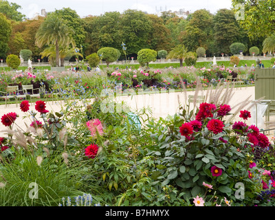 Graziosi fiori e piante nel Jardin du Luxembourg a Parigi, Francia Europa Foto Stock