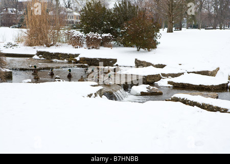 Un flusso di Franklin Park in inverno Foto Stock