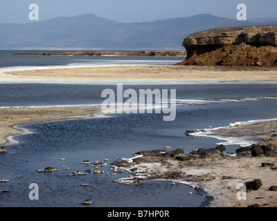 Vista che domina il Lago Assal, luogo più basso in Africa e Saltiest posto sulla terra. Gibuti. Foto Stock