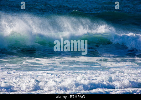 Oceano Pacifico onde che si schiantano a terra vicino a Seal Rock'Area Picnic sulla spiaggia di ciottoli, penisola di Monterey, California, Stati Uniti d'America Foto Stock