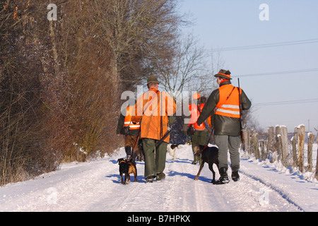 Battue in inverno; Cacciatore con cane, Germania Foto Stock