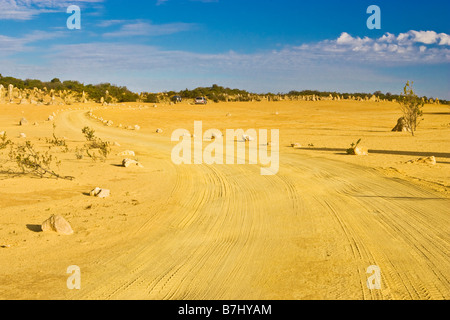 Un avvolgimento su strada attraverso il Deserto Pinnacles nel Nambung National Park, Australia occidentale Foto Stock