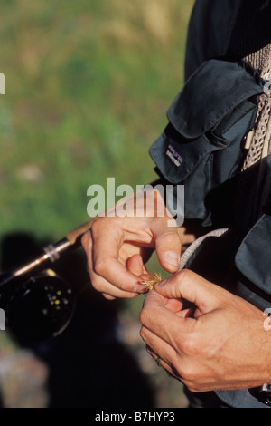 Giovane uomo legatura di volare mentre la pesca a mosca sul fiume Crowsnest, Crowsnest Pass, Alberta, Canada. Foto Stock