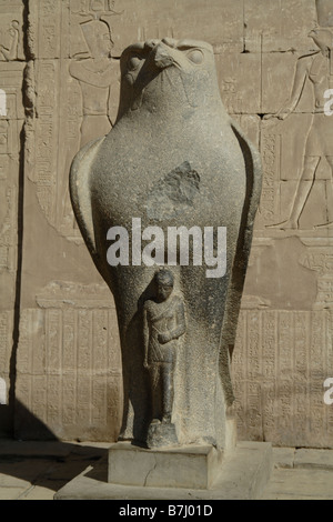 Falcon statua del dio Horus primo pilone, presso il Tempio di Horus. Luxor, Egitto. Foto Stock