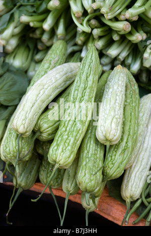 Il Melone amaro zucche in vendita al mercato in stallo Foto Stock