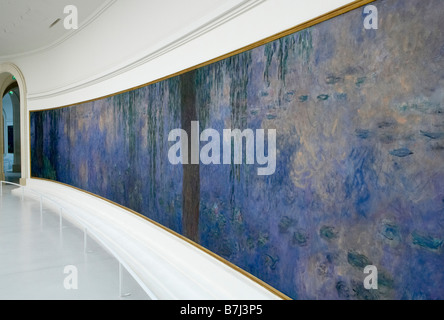 Ninfee di Claude Monet nel Musee de l'Orangerie, Parigi, Francia Foto Stock