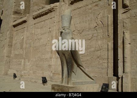 Falcon statua del dio Horus primo pilone, presso il Tempio di Horus. Luxor, Egitto. Foto Stock