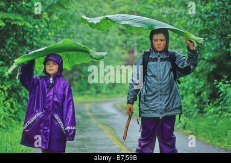 Ragazzo, 7, e una ragazza, 4, tenere giant Skunk cavolo lascia come ombrelli, Whistler, BC Canada Foto Stock