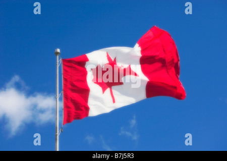 Canadian Maple Leaf - bandiera nazionale, Halifax, Nova Scotia Foto Stock