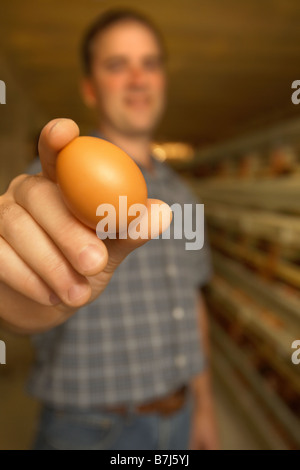 L'agricoltore che detiene un uovo fino vicino alla telecamera in una fattoria di pollo, Waterford, Ontario Foto Stock