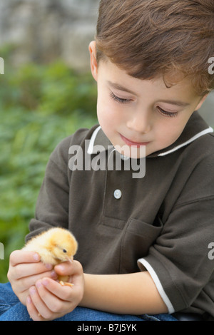 Little Boy tenendo un pulcino di bambino in una fattoria, Waterford, Ontario Foto Stock