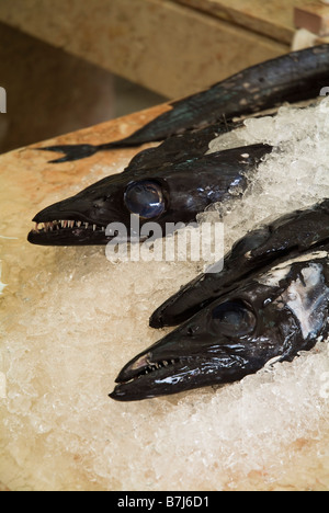 Dh Espada Madera di pesce sciabola nero Pesce del ghiaccio di stallo del mercato Foto Stock