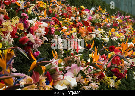 Dh il Festival dei Fiori di Madeira FUNCHAL Parete della speranza fiori in mostra Foto Stock