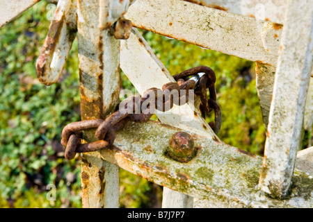 Un arrugginito catena e un lucchetto su un vecchio arrugginito dipinte di bianco cancello Foto Stock