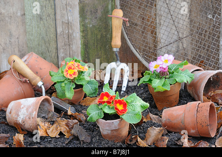 Rustico giardino primavera scena con primule vasi di terracotta e attrezzi da giardino Foto Stock