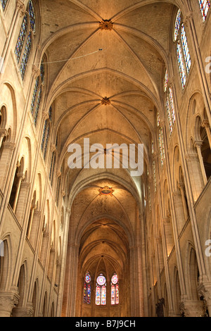 Navata della cattedrale di Notre Dame e PARIS Foto Stock