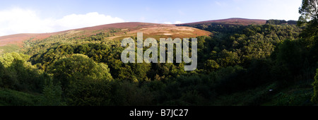 Una vista panoramica su Exmoor verso Dunkery Hill e Dunkery Beacon da Cloutsham, Somerset UK Foto Stock