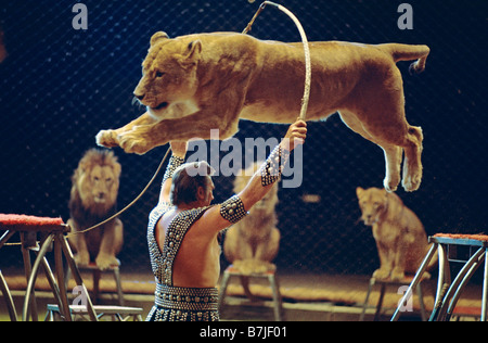 Circus - lion jumping Foto Stock