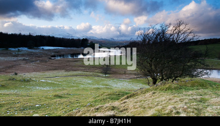 Saggio Een Tarn vicino lontano Sawrey nel distretto del lago, Cumbria, Inghilterra Foto Stock