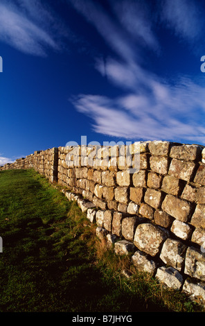 Un restaurato la sezione del Muro di Adriano vicino a Porte spinosa, Northumberland, Regno Unito Foto Stock