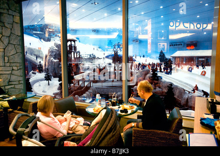 Ski Dubai Mall of the Emirates a Dubai Emirati Arabi Uniti Foto Stock