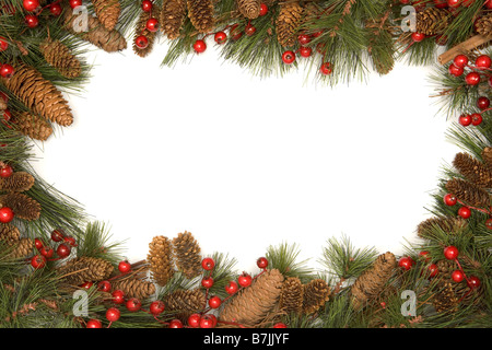 Bordo di Natale di rami di pino contro uno sfondo bianco Foto Stock
