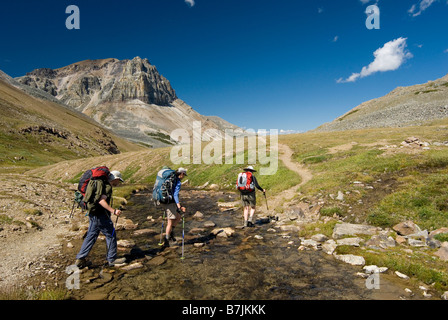 Tre escursionisti attraversare un piccolo ruscello in un prato alpino.; Canada, Alberta, Jasper National Park, Skyline Trail Foto Stock