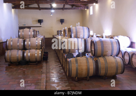 Di barili con la fermentazione il vino chateau guiraud sauternes bordeaux francia Foto Stock