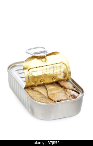Aprire il barattolo di latta di sardine con morbida ombra su sfondo bianco Foto Stock