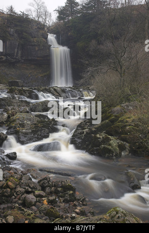 Thornton vigore cascata, parte dell'Ingleton cascate a piedi a Ingleton Ribblesdale nel Yorkshire Dales R.U. Foto Stock