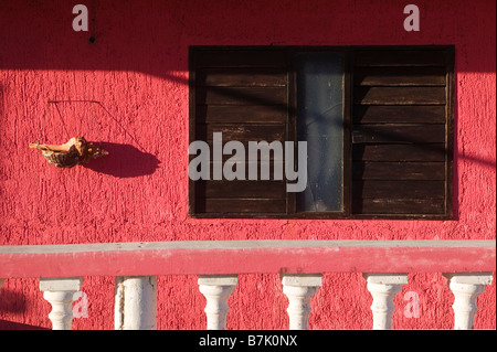 Conch shell su una parete rossa accanto ad una chiusa e finestra con persiane al sunrise su Isla Mujeres, Messico. Foto Stock
